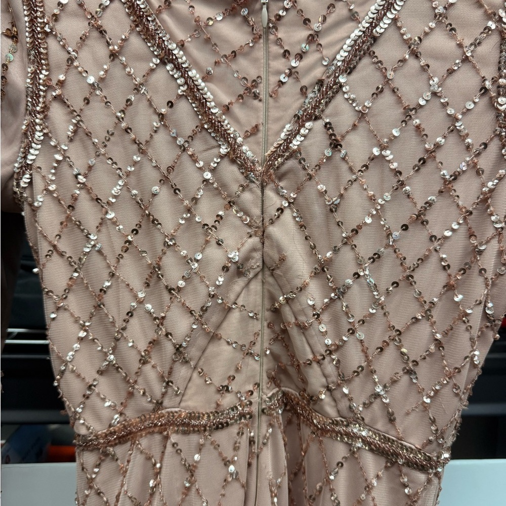 Adrianna Papell Rose Blush Beaded Long Sleeve Evening Gown - Picture 2 of 5